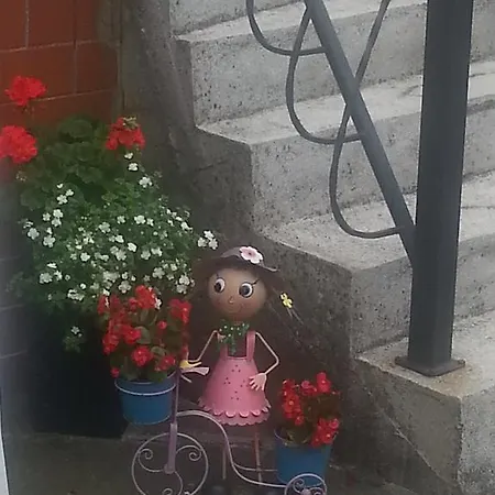 Rynio - Goscinne וובה