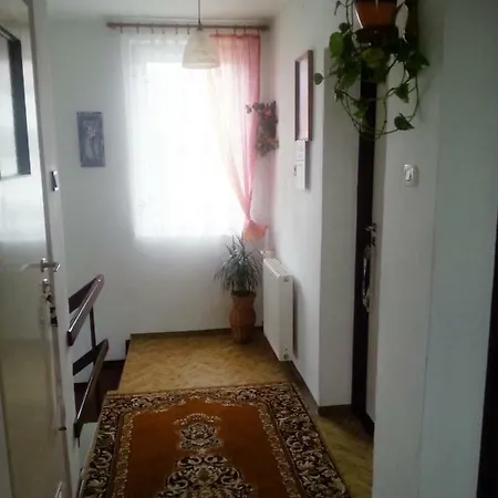 Rynio - Goscinne منزل للإقامة *