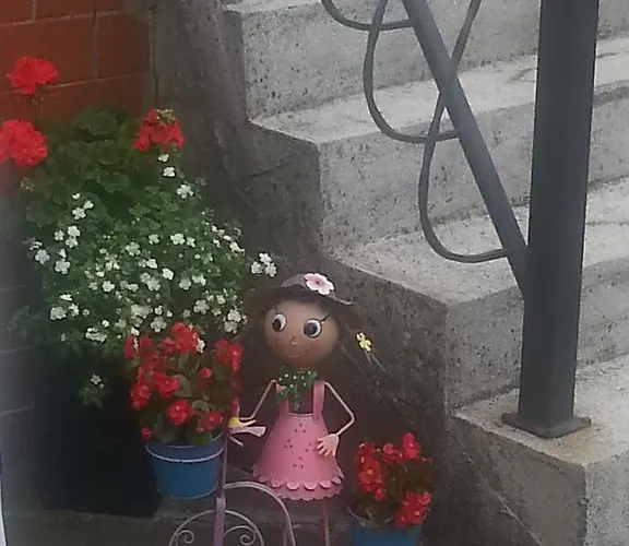 Rynio - Goscinne Łeba